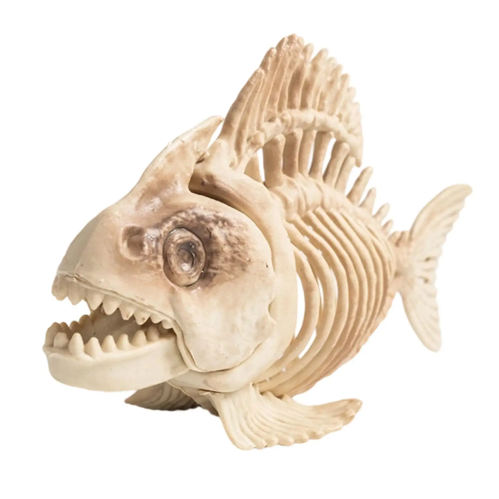 Fish Skeleton Halloween Decoration for Educational Model White Skull Statue