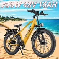 Electric Bicycle ENGWE E26 750W Motor 48V 16AH Hydraulic Suspension adult Electric Bike 26*4.0 Fat Tire Bike Mountain Snow Ebike