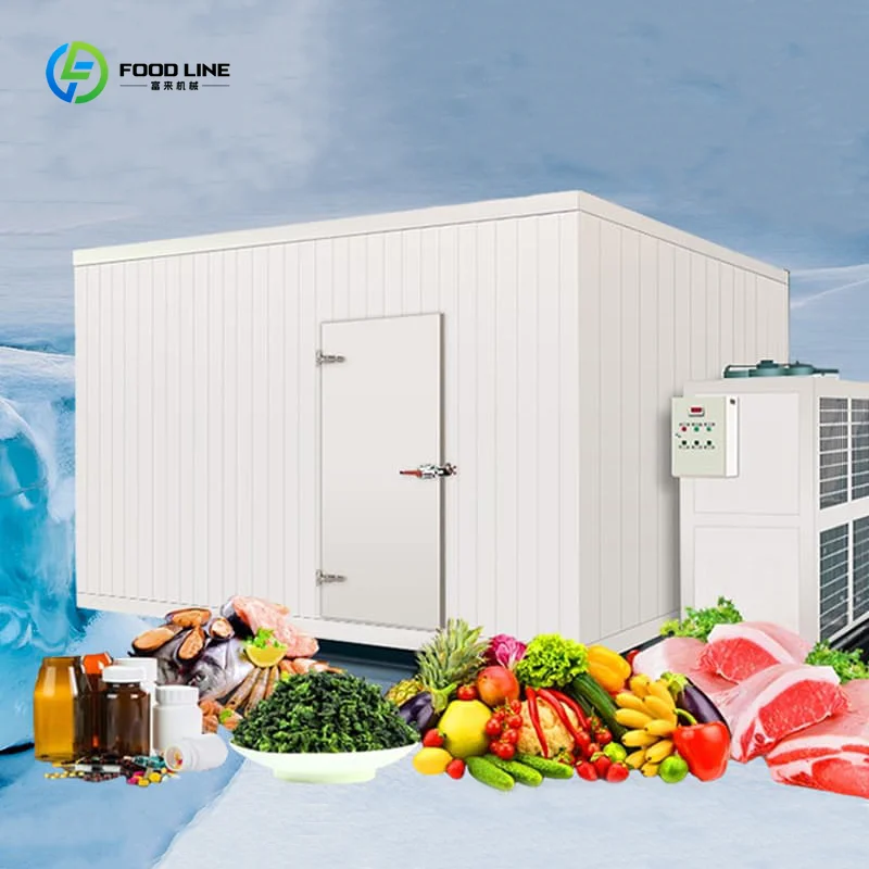 20Ft Solar Walk-in Refrigerator Container Cold Storage for Banana Ripening Vegetable Display Fish Cool Storage Custom