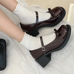 Vintage High Heel Mary Jane Shoes for Women 2023 New Summer Bow Brown Round Head English Style Small Leather Shoes