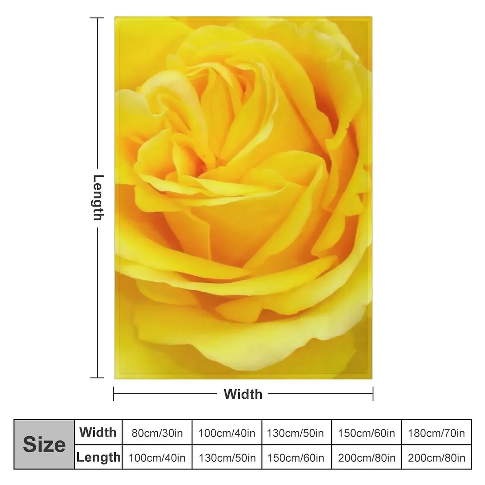 Beautiful Yellow Rose Closeup Photograph Throw Blanket Thins Bed Fashionable Soft Big Blankets