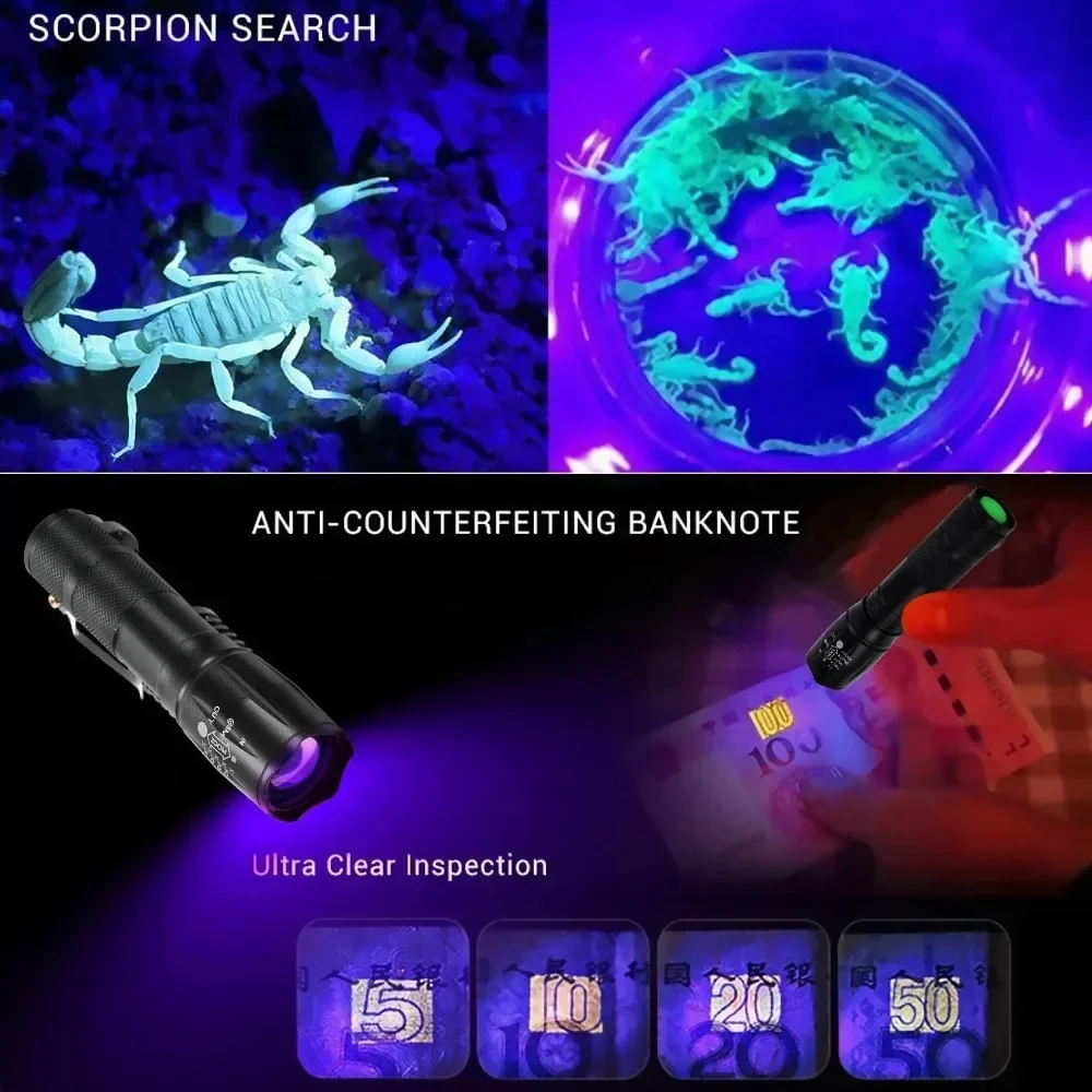 Ultraviolet White Double Lamp Flashlight LED Retractable Zoom Flashlight Pet Urine Scorpions Detection Lamp Currency Check Light