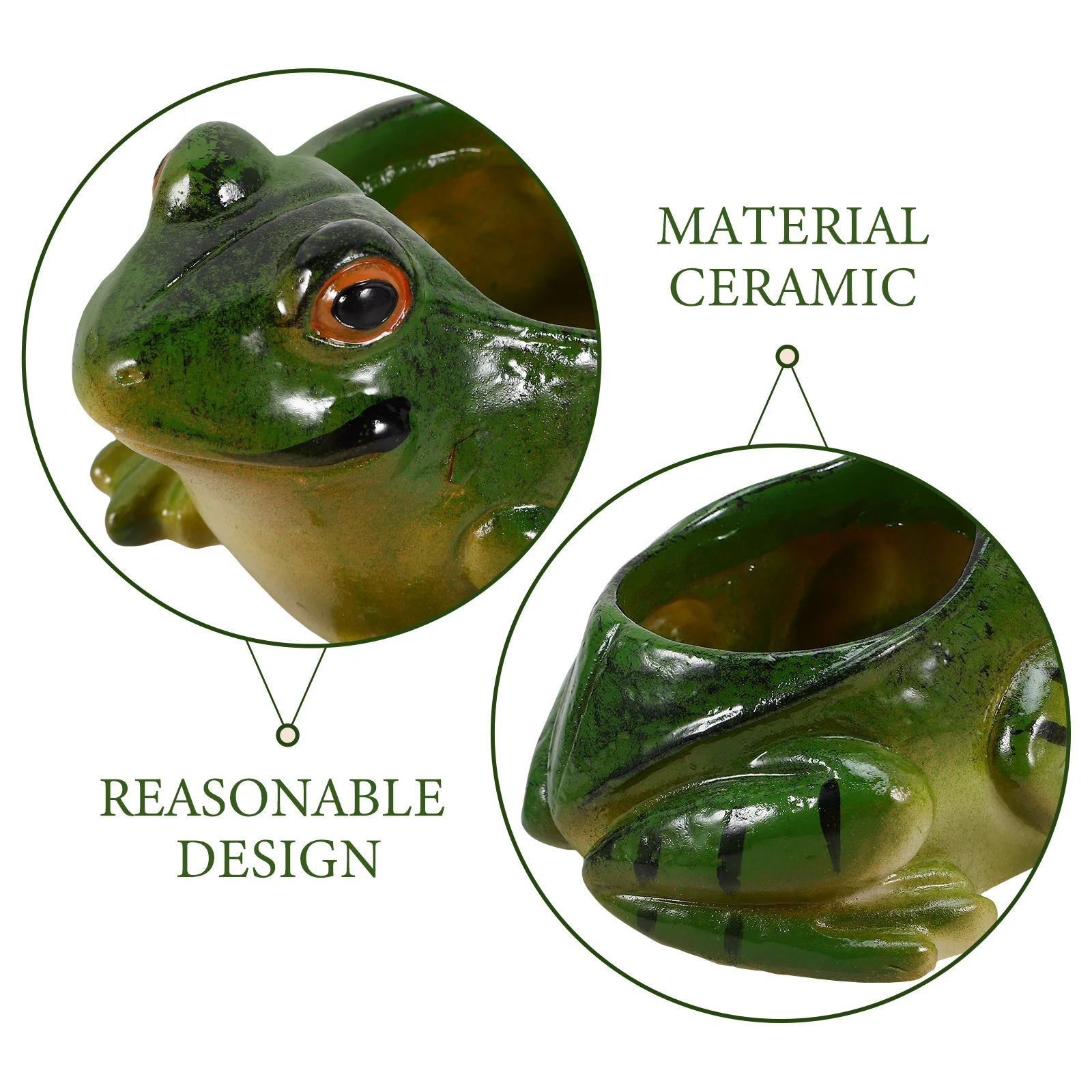 

Sculpture Succulent Green Plant Decoration Flower Pot Indoor Ceramics Garden Frog for