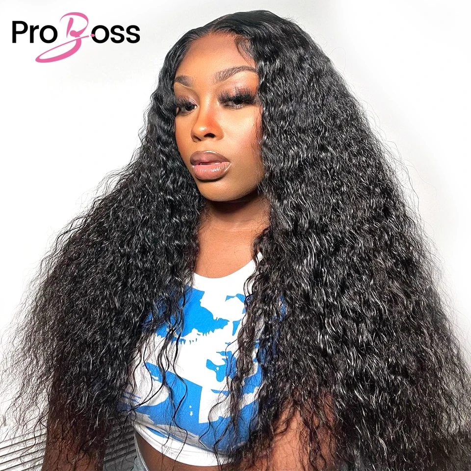 Proboss Hair Mongolian Water Wave 13x6 Lace Front Wig Fashion Women Loose Wave Curly Human Hair Wig 13x4 Lace Front Air Wig