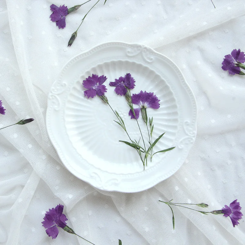 48Pcs Carnation Flowers with Stems, Pressed Flowers for Diy, Plant Specimens That Can Be Used as Bookmarks, Table Lamps, Candles, Silk Fans, Handmade Photo Frames, Specimen Resin Crafts