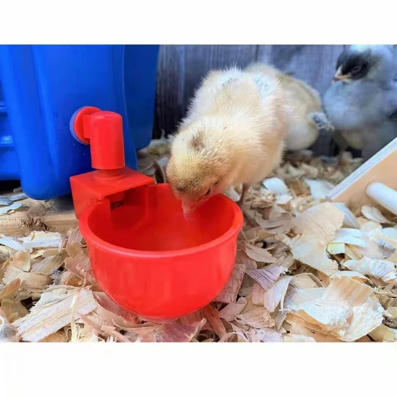 

50PCS Chicken Automatic Drinking Bowl Pigeon Red Water Dispenser Poultry
