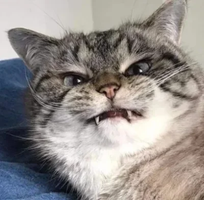 

FOR MJX Hyper Go 10303 10304 Metal Steering Cup Hub Carrier Steering Assembly Swing Arm Set 1/10 RC Car Upgrade Parts Accessorie