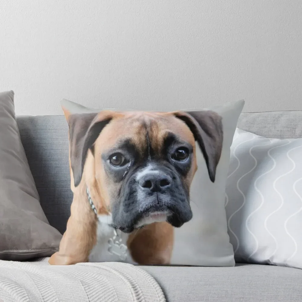 

Dino - A Boxer Portrait - Boxer Dogs Series Throw Pillow Sofa Cushion Cover christmas decorations 2025 covers for pillows pillow