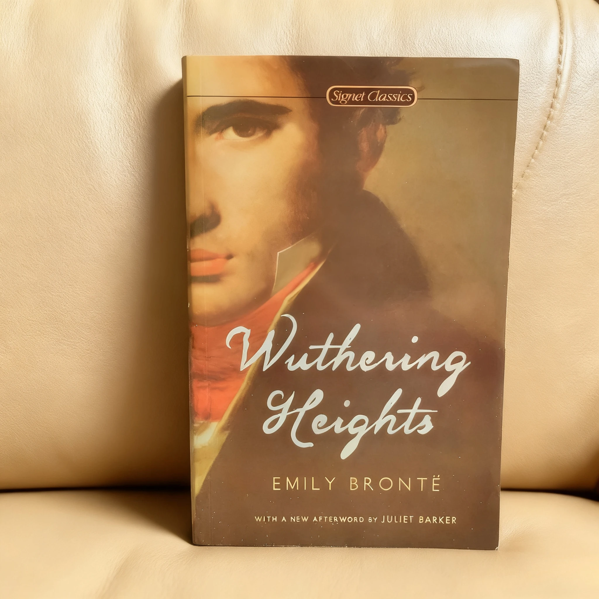 《The Concise 48 Laws Of Power》+《Wuthering Heights》Le jeu de la loi principale du pouvoir Livres de renommée mondiale Romans classiques Cadeaux de Noël
