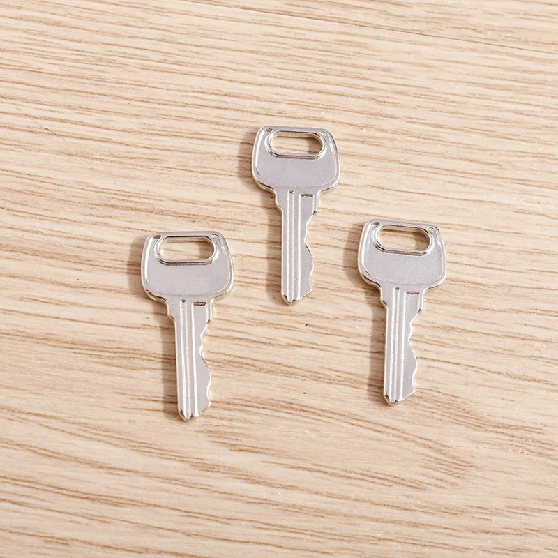 20 Stück 12x24mm 2 Farben Niedliche Legierungs-Schlüsselanhänger für Schmuckherstellung, Halsketten, Ohrringe, Armbänder, DIY-Bastelzubehör – Detail 4