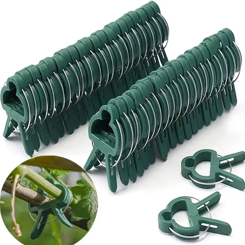 20Pcs Plant Fixed Clips Reusable Garden Greenhouse Bracket for Fixed Plants Vine Flower Seedling Stem Suppor t Garden Supplies