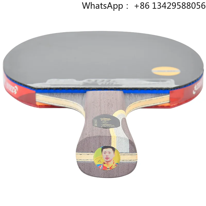 Dhs Professional Hu… - image