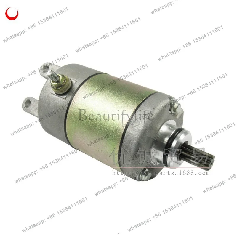 250 starter motor YP250 LH250 ATV300 motor 2