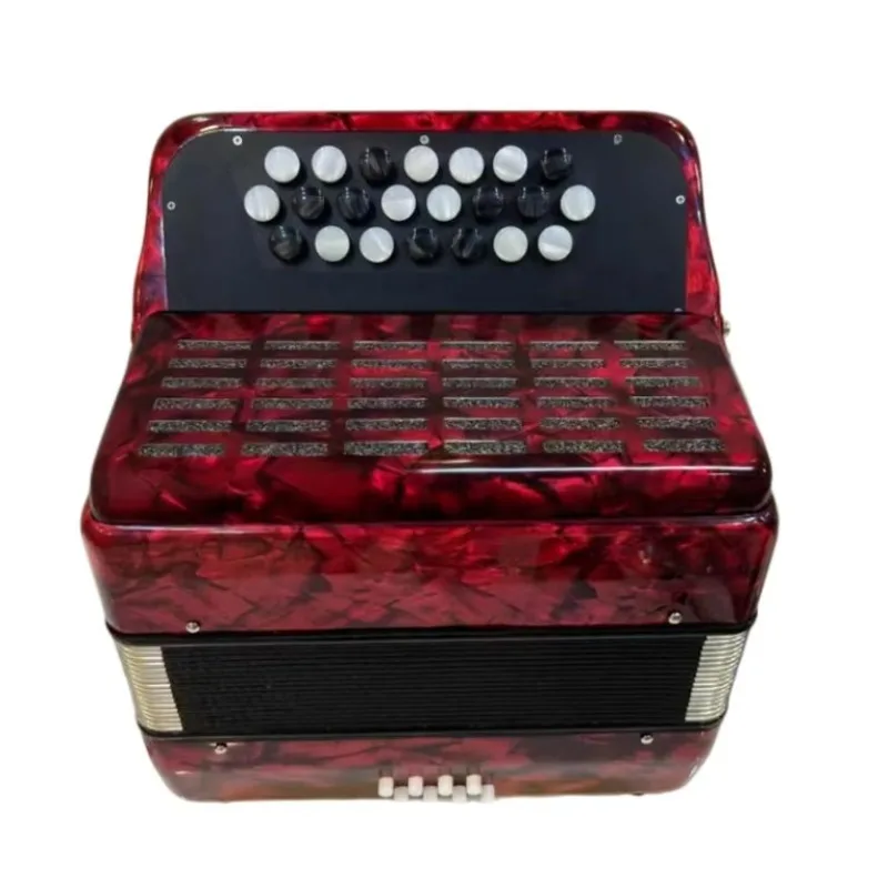 Y822 Professional 22Keys 8Bass Accordion Suitable for Beginners and Adults