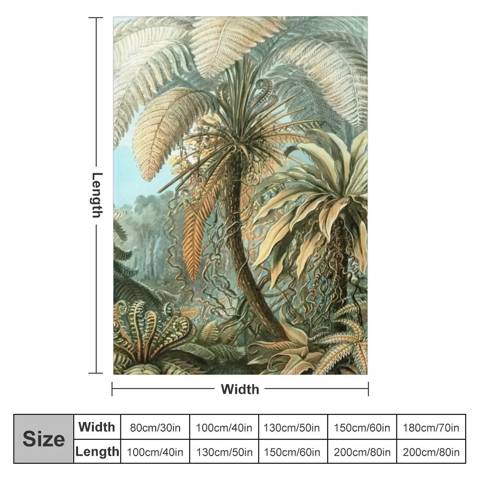 Haeckel Filicinae 92 Drawing Throw Blanket Polar Camping Sofa Throw Designers heavy to sleep Blankets