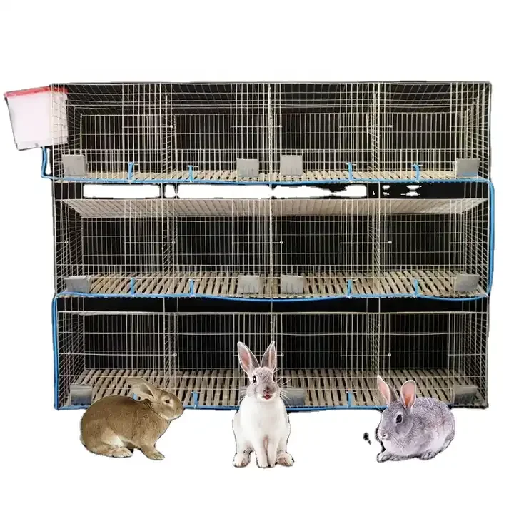 Easy to Install Hot Dip Galvanizing Rabbit Cages Cheap Commercial Rabbit Breeding Cages 10 Provided 45 3 Year Rabbit Accessories