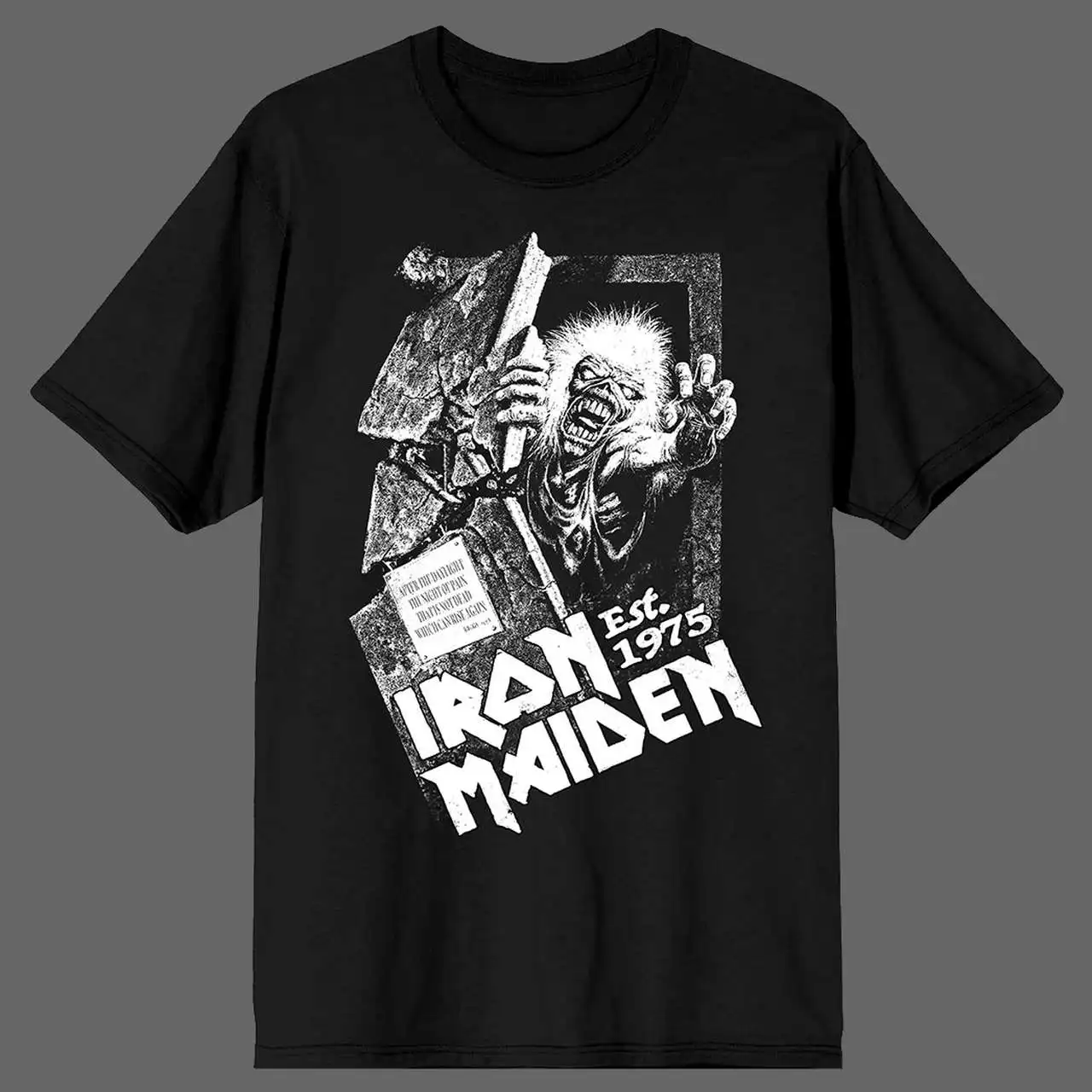 تي شيرت رياضي عصري بأكمام قصيرة لعام 2026 مع طباعة فرقة أيون لودي، عصري ومسامي، مناسب للارتداء اليومي