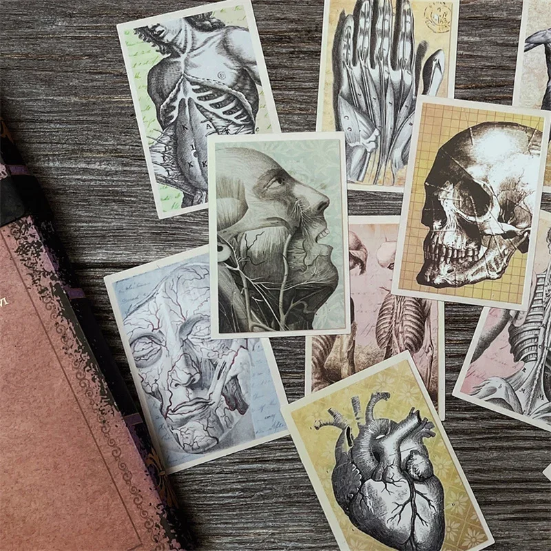 12 Pcs Biological Anatomy Skeleton Vintage Sticker Junk Journal Ephemera Heart Collage Aesthetic Stickers Scrapbooking Material