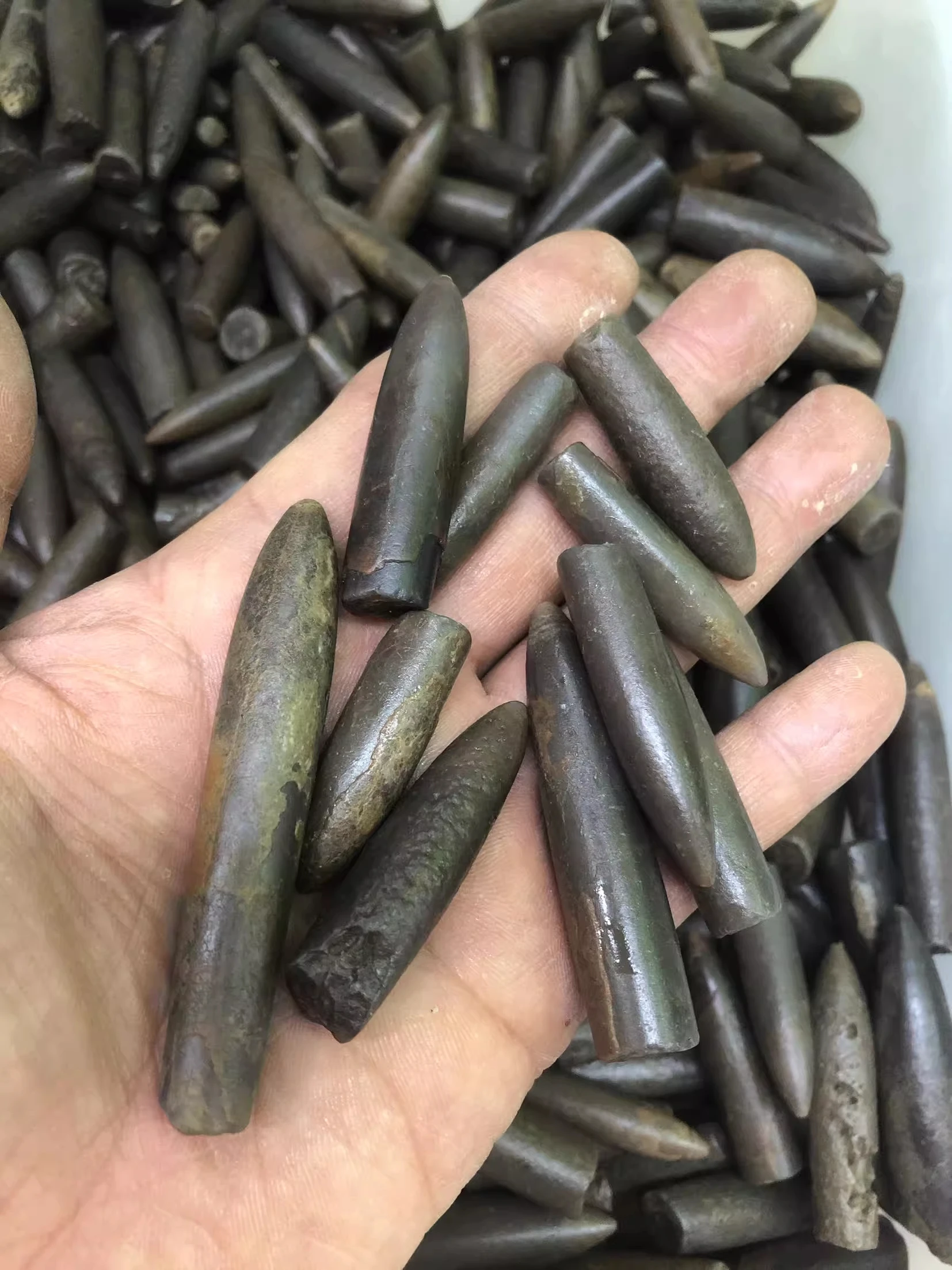 100g  Sea urchin long spine stone mid Jurassic Specimen stone