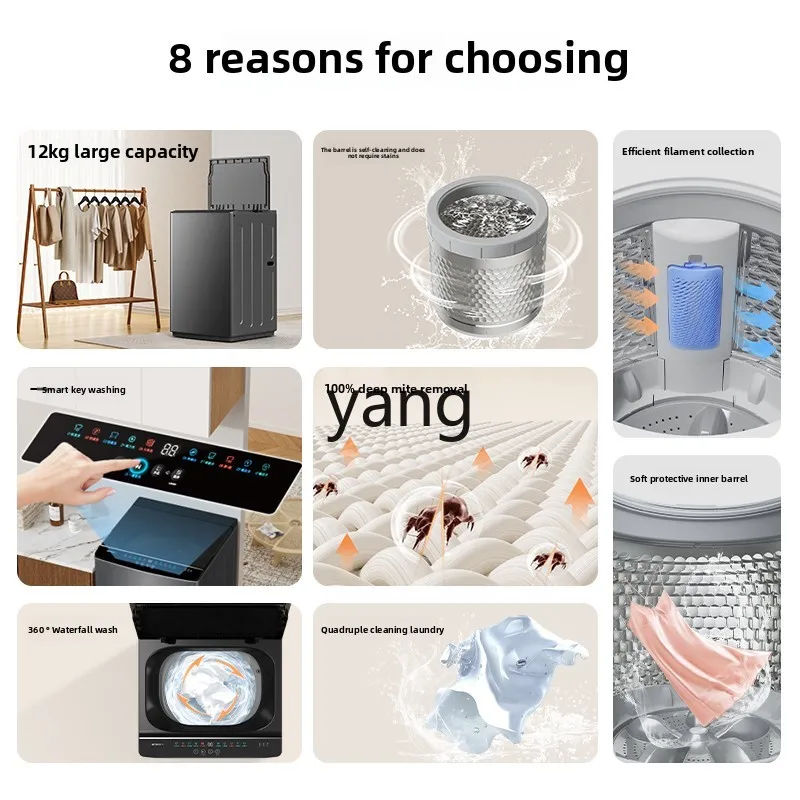 CX 12kg mite removal, elution, integrated drying, automatic pulsator, large capacity