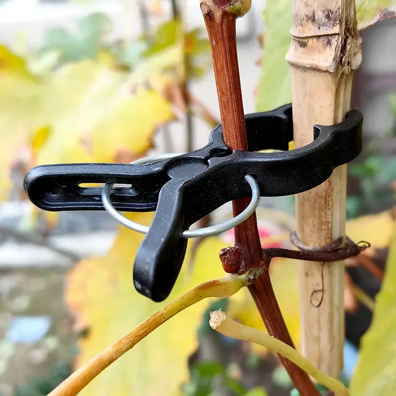 10pcs Fish Shaped Clip Fixing Plant Branches Stems Gardening Plastic Clips Black Plastic Protecting Plant Branches Clip