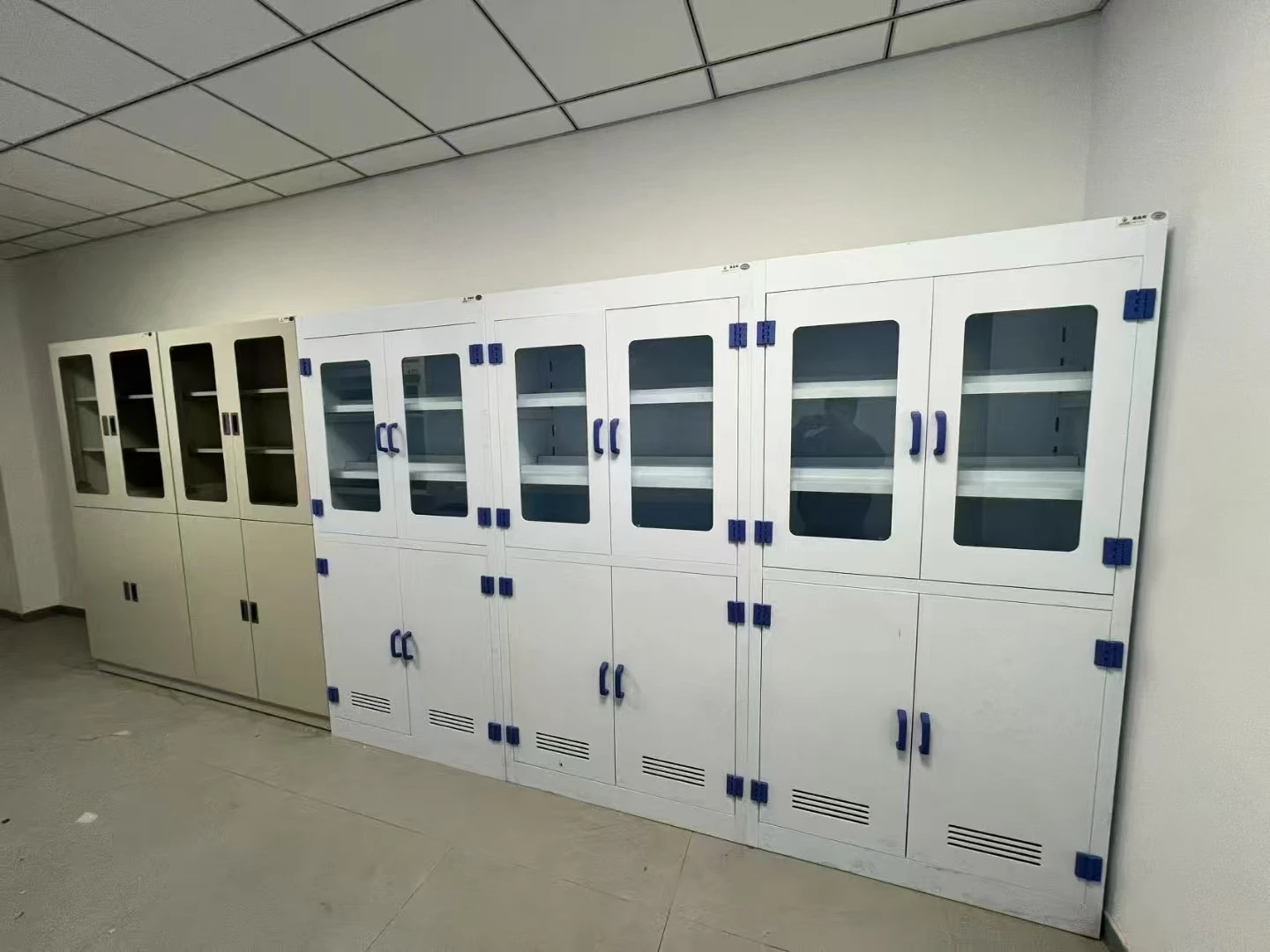 실험실 장비 PP 시약 약품 산 저장 캐비닛 (선반 포함)