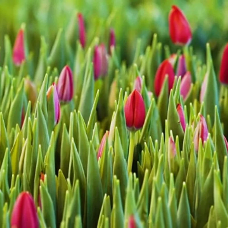 

4 шт., 120 мм, 1,9 дюйма, резиновые шины, колеса для 1:10 RC гусеничного автомобиля, осевой SCX10 90046 AXI03007 TRX4 Redcat Gen8