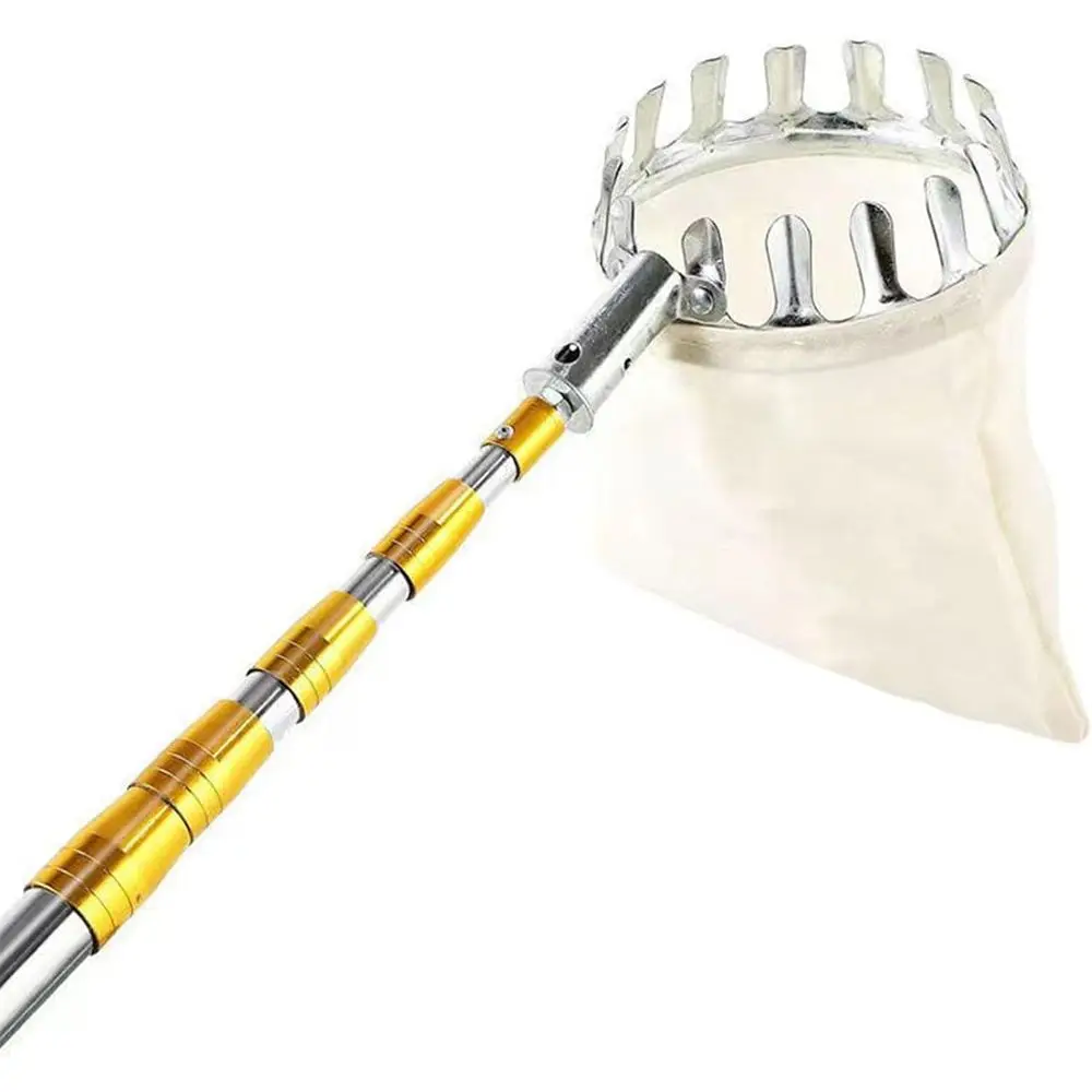 เครื่องมือเก็บผลไม้แบบยืดได้พร้อมถุง - 3 เมตร/9.8 ฟุต, เสาแบบยืดได้น้ำหนักเบาสำหรับเก็บผลไม้ตระกูลส้ม, ลูกพีช, แอปเปิ้ล