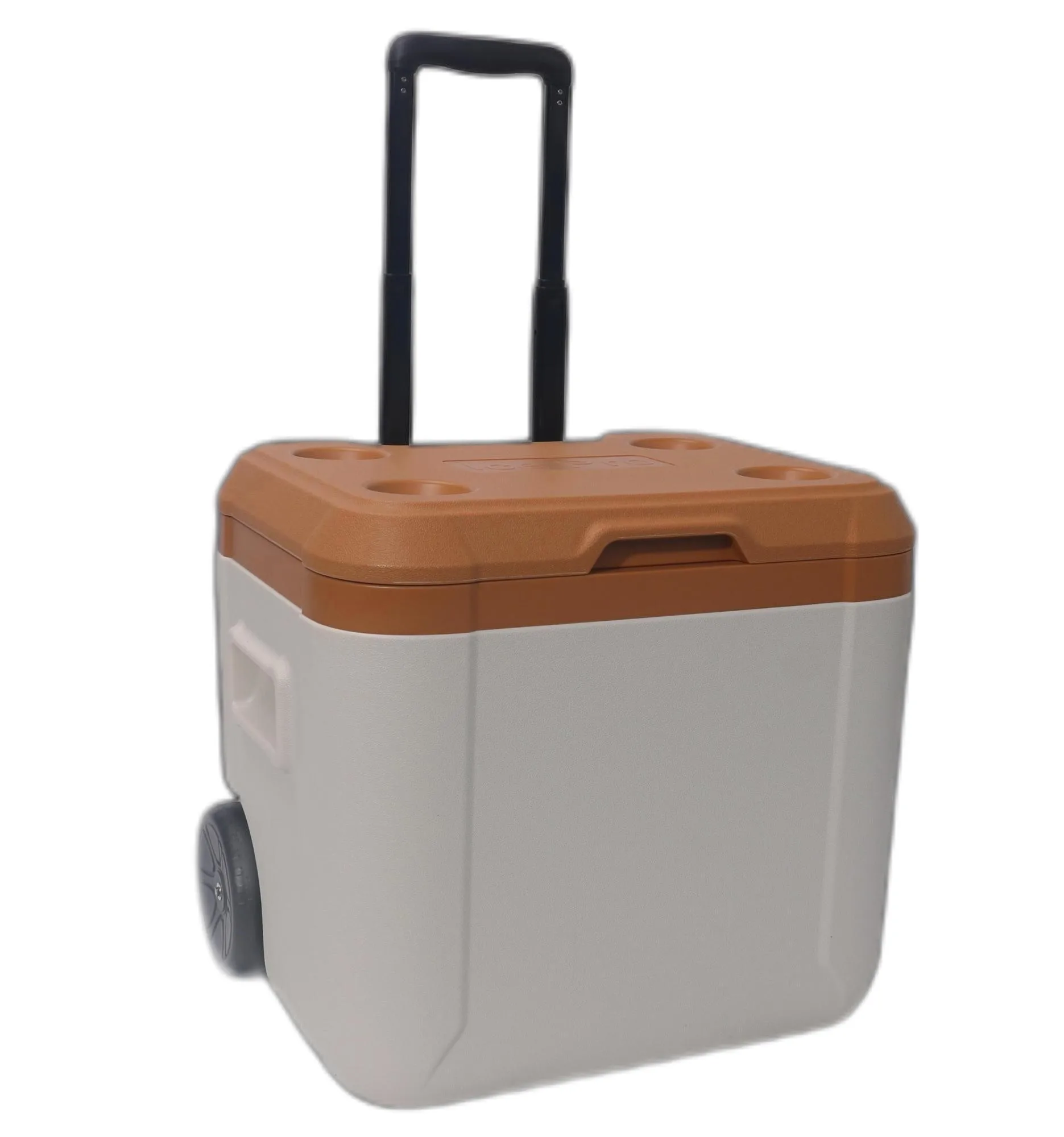 Fashion Style Large Capacity 52L Beer Wine Water Ice Can Portable Cold Chain Carrier Frozen Hard Cooler Box