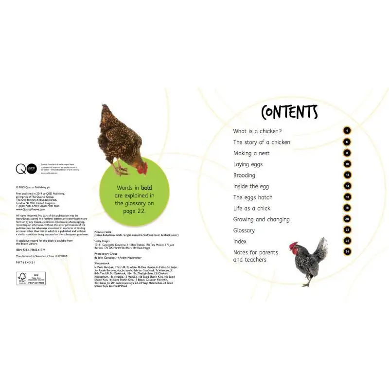 دورات الحياة البيض إلى الدجاج كاميلا دي لا بيدويري كيد للنشر 9781786036179 كتاب #3