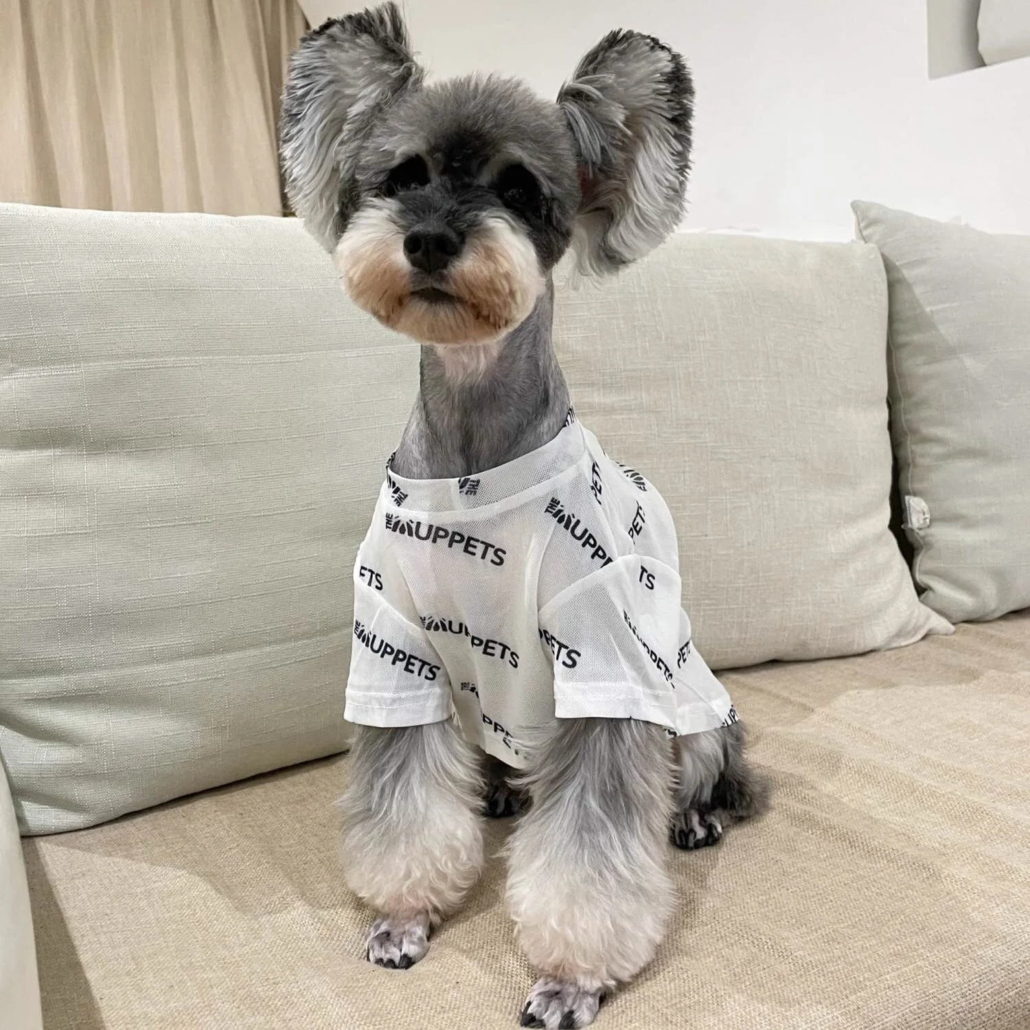 Mesh Pet Dogs Clothes for Small Medium Dogs Summer Schnauzer Teddy Pug Dog Thin Breathable Cool Cats Puppy Clothing Pet T Shirt