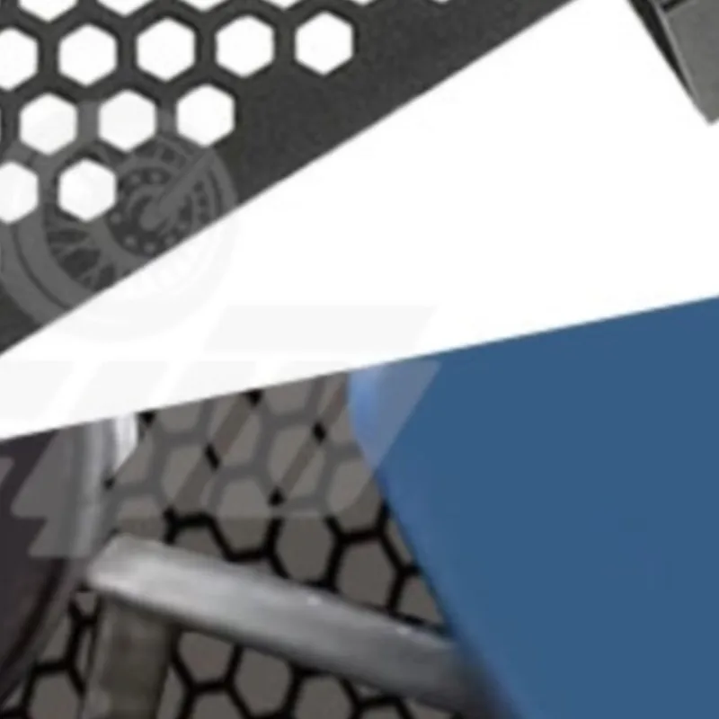 

For Suzuki GIXXER250 Gixxer SF 250 GIXXER 250 2020 2021 2022 2023 Motorcycle Oil Cooler Guard Radiator Grille Cover Protector