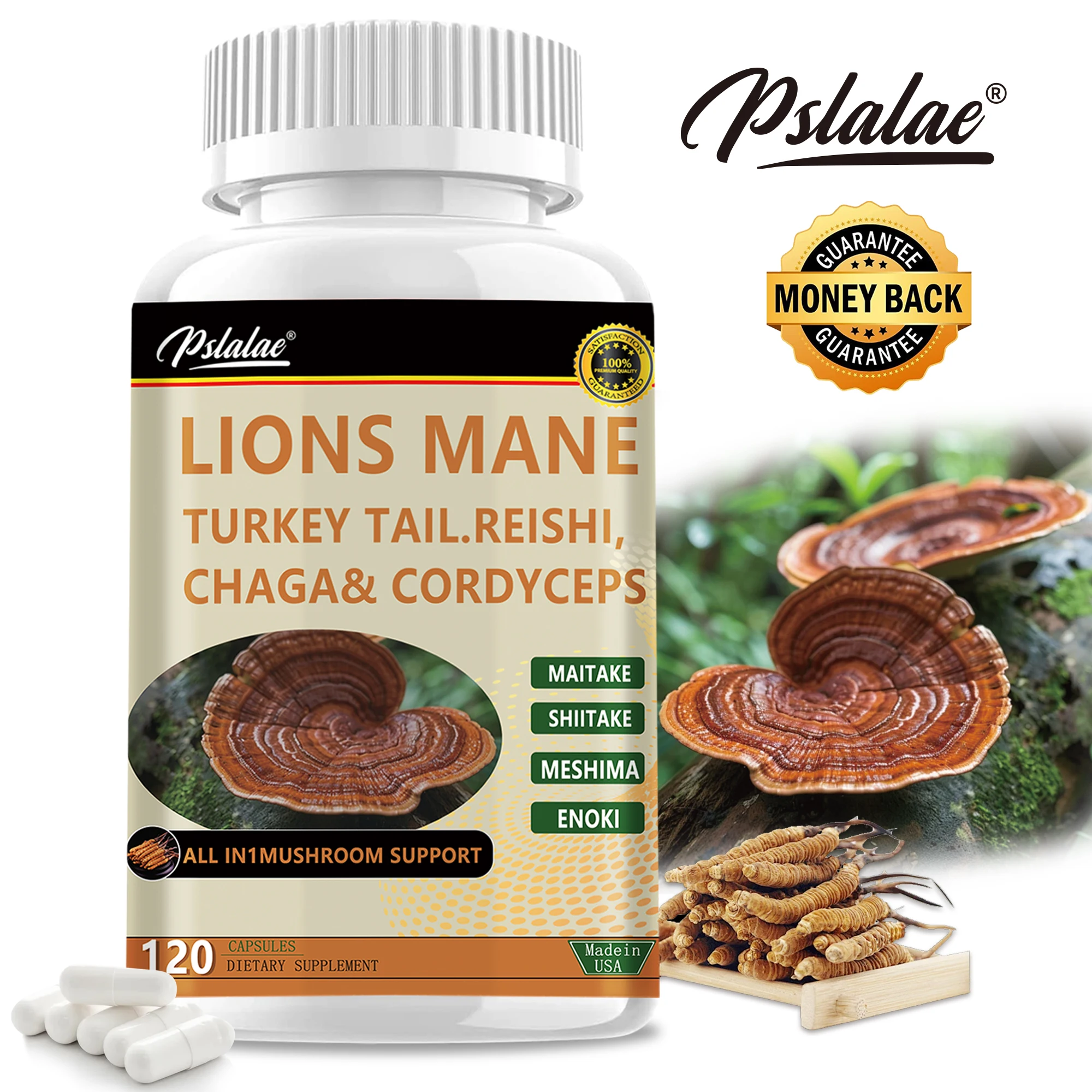 

Дрессировка львиной гривы — повышение памяти, концентрации и когнитивного применения, повышение энергии, иммунитета здоровья