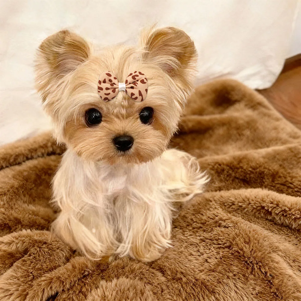 10/20/30PCS Dog Bows With Rubber Bands Handmade Brown Style Puppy Head Flower Handmade Pet Supplies For Dogs Bows Supplies