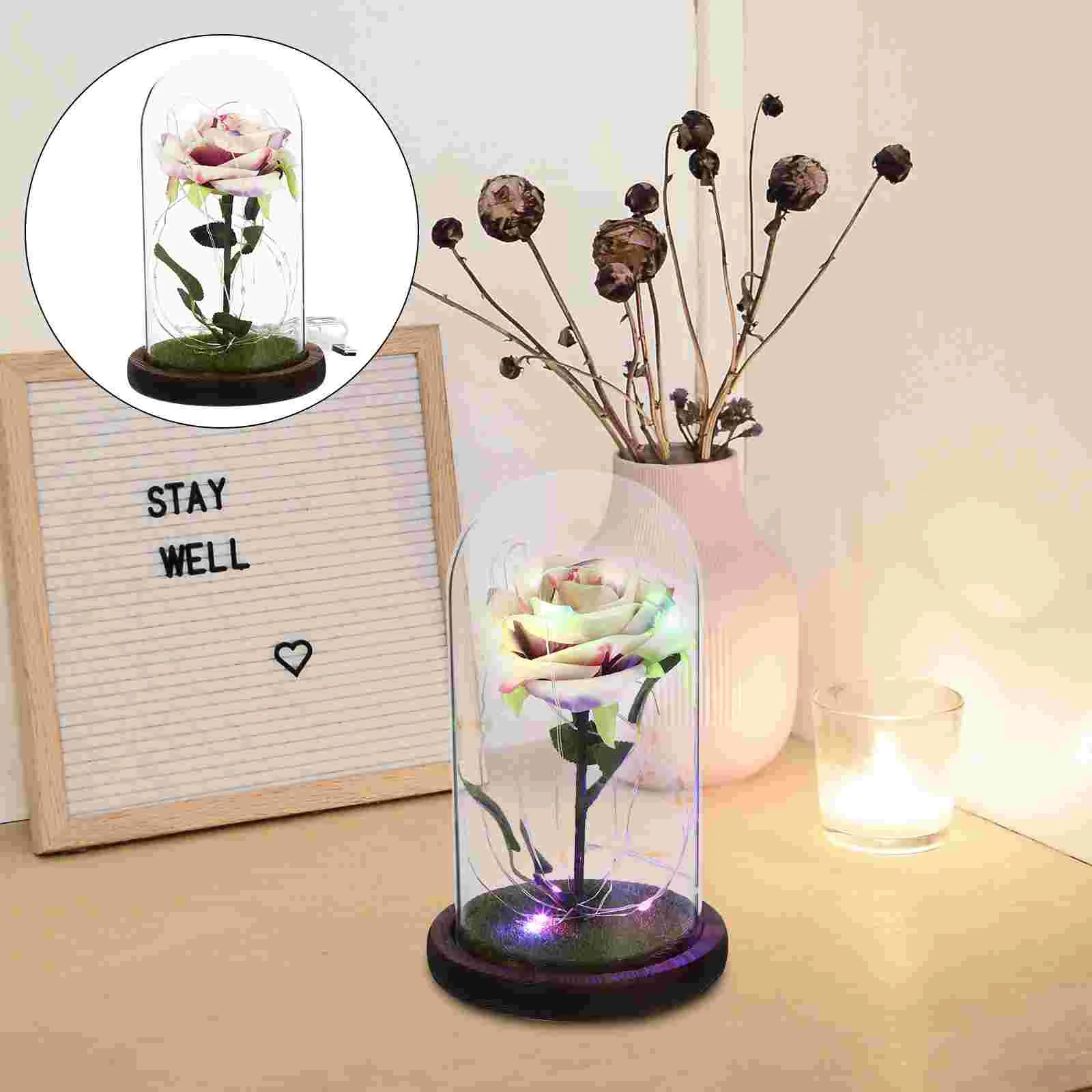 

Preserved Flower Household Decor Exquisite Home Decoration for Desktop