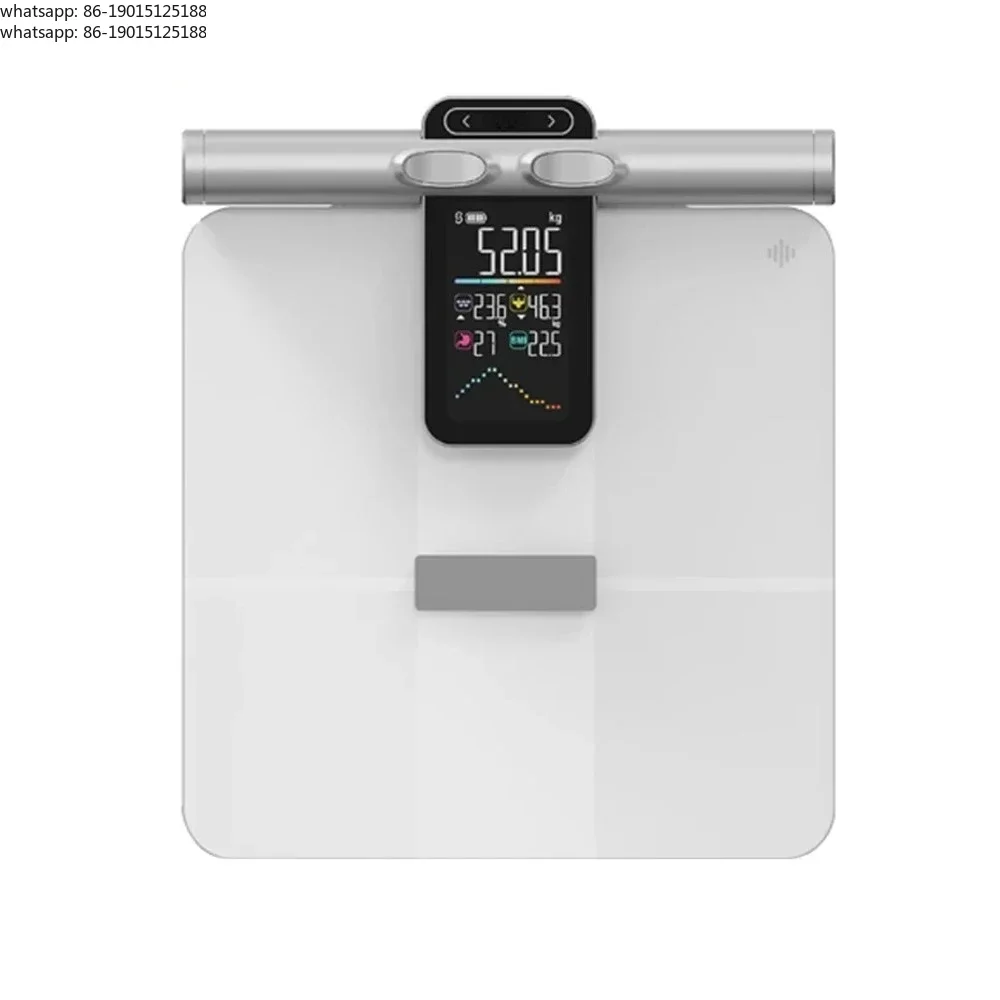 2025 New Offline Measurement Function Weight Scale Body Fat Analyzer Intelligent Body Composition Analyzer