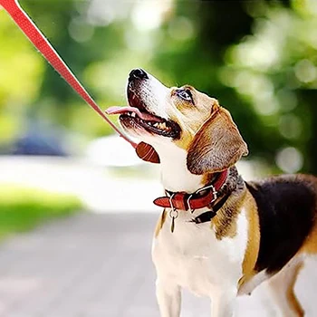 Adjustable Dog Training Leash 6