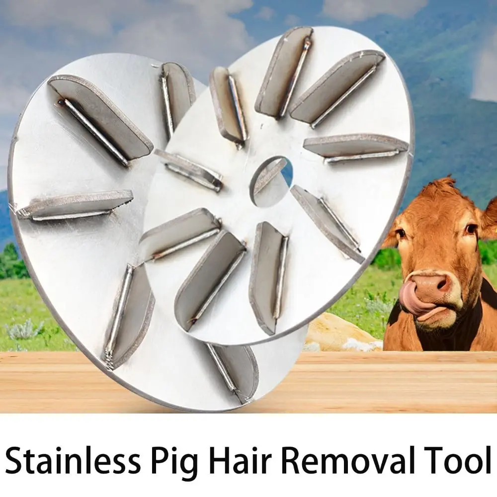 Gifts 7/9 Gears Pig Hair Removal Disc Stainless Labor-Saving Pig Hair Removal Tool Multifunctional Pig Hair Scraper Disc