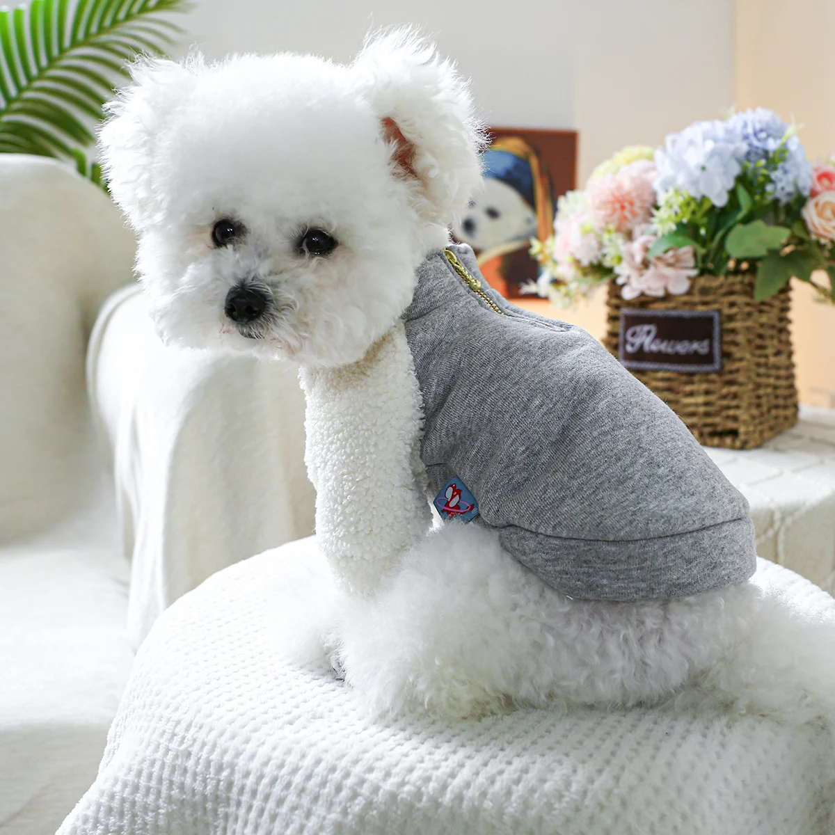 1PC pet clothing spring and autumn gray pullover, size 9 zipper jacket, suitable for small and medium-sized dogs