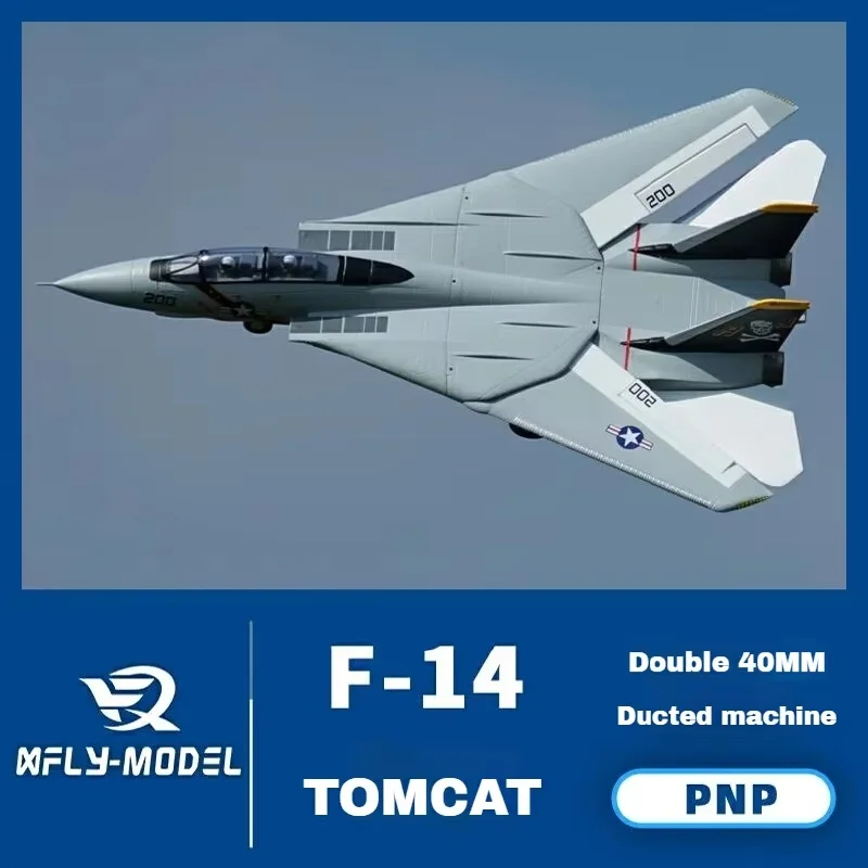 Hot Sale Rc Plane Dual F-14 