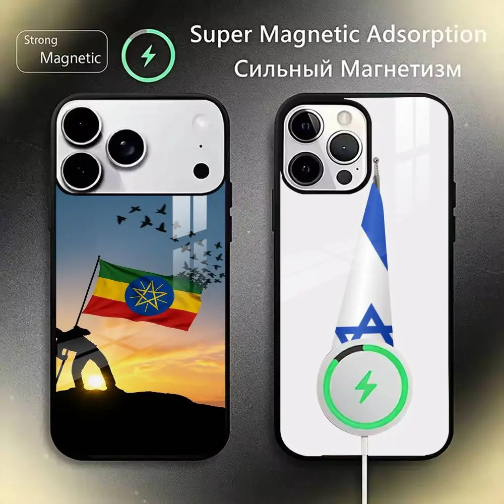 

Flag of Israel Phone Case For iPhone17,16,15,14,13,12,11 Plus,Pro Compatible with magnetic wireless charging