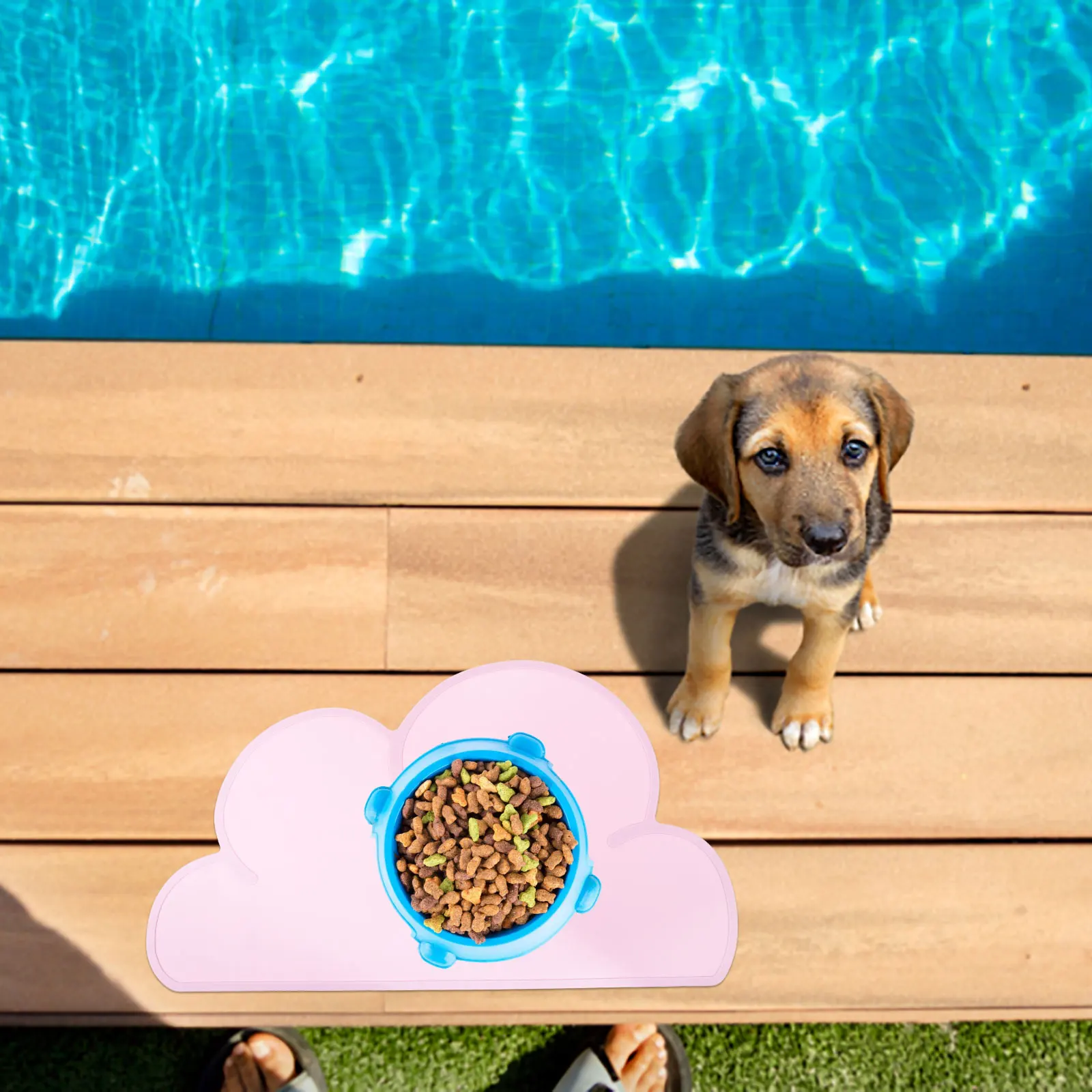 

2Pcs Pet Placemat Silicone Feeding Mats for Cat Dog Bowls Insulated Non Slip Heat Resistant Easy Clean Kitchen Use Pet Supplies