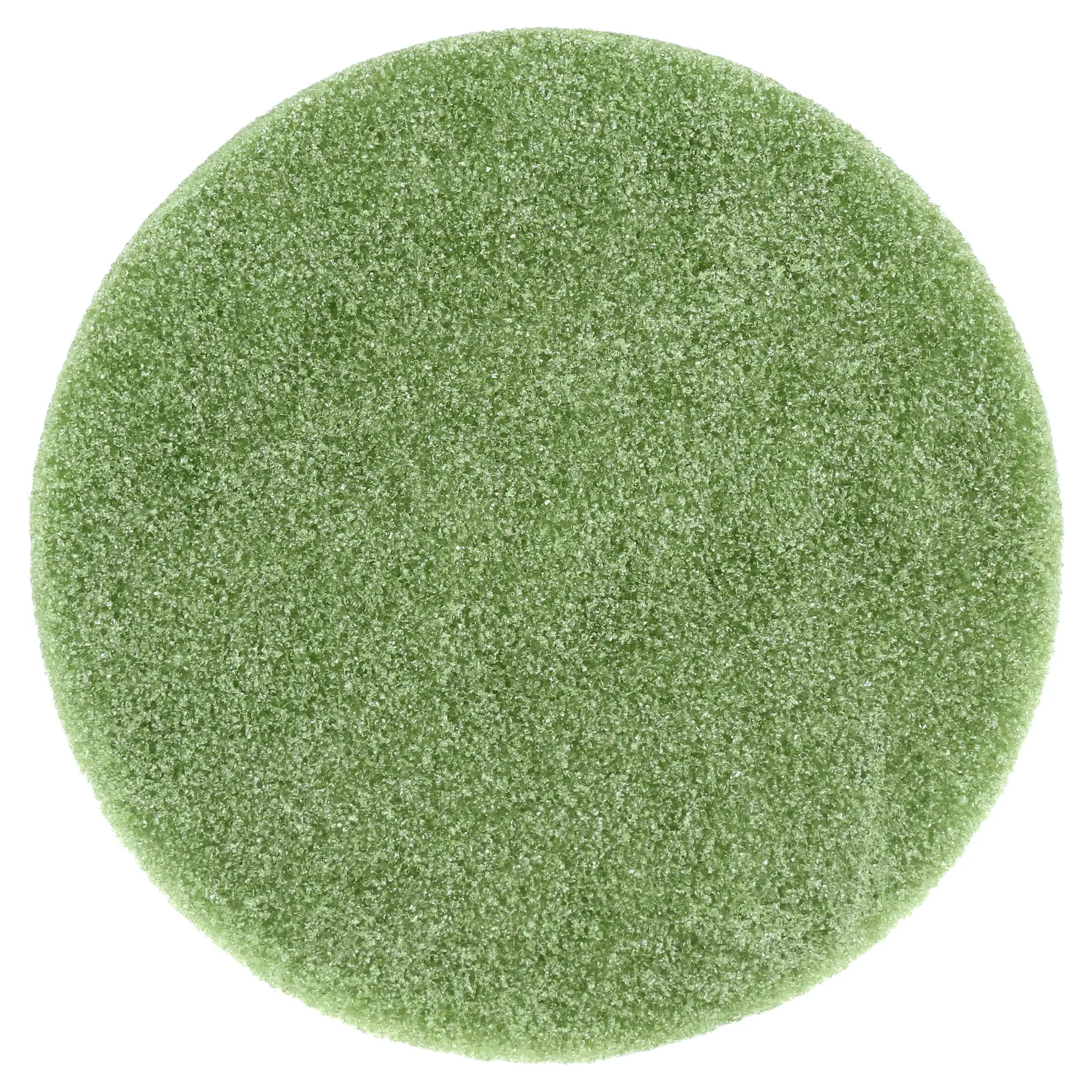 FloraFōM Foam Disc 1.9 inch x 9.8 inch Green, Everyday