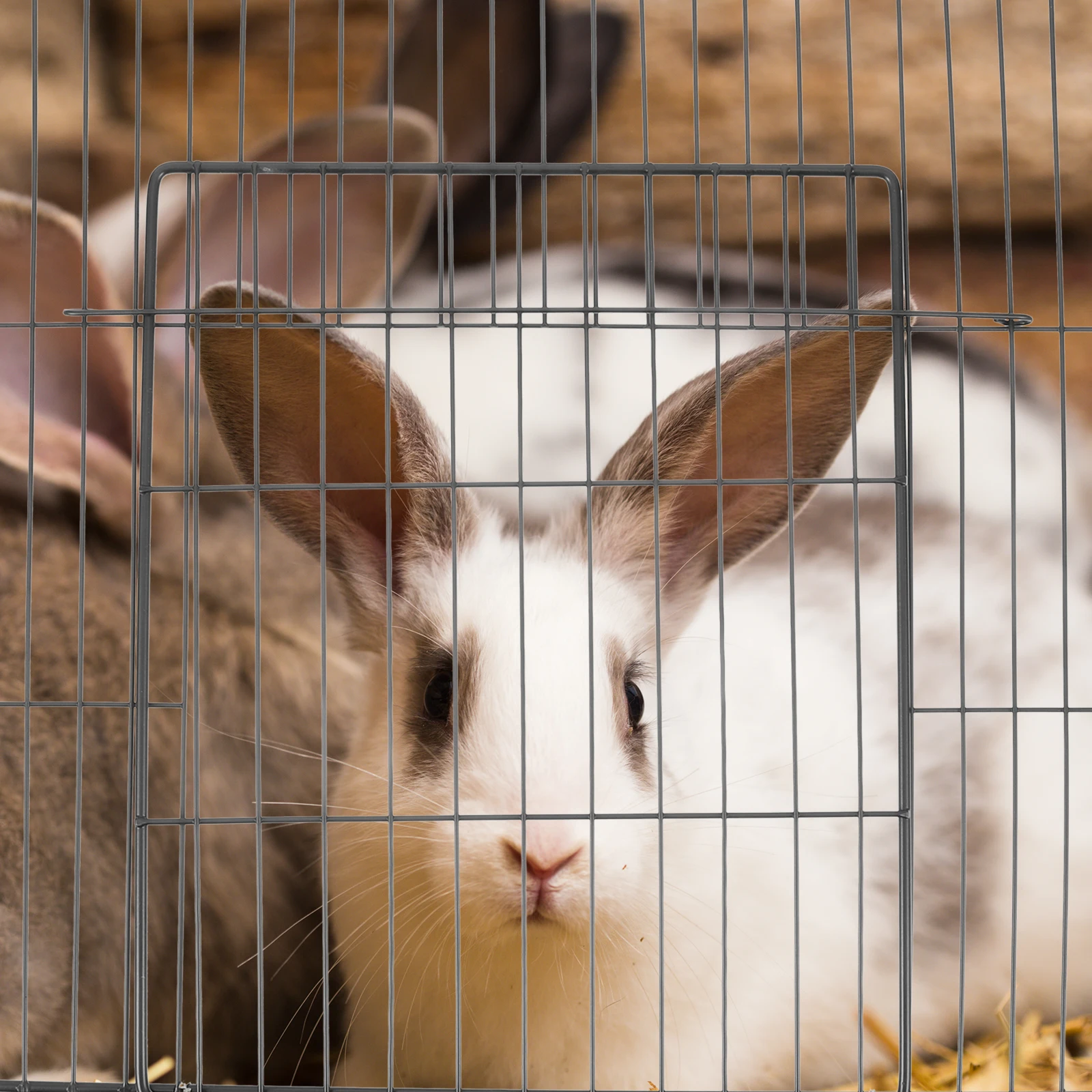 

Cat Cage Net Door Metal Wire Fence Gate Playpen Mesh Panel for Small Pets Iron Easy Install Disassemble Pet Villa