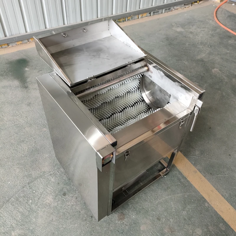 

Commercial Automatic Vegetable Peeling And Washing Machine High Pressure Roller Brush for Potato Cassava Cleaning Machine