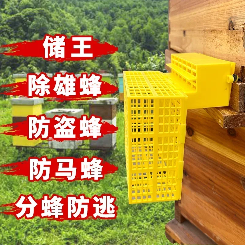Automatic bee separator to remove male bees Queen Prevent Bees from Flying and Escaping