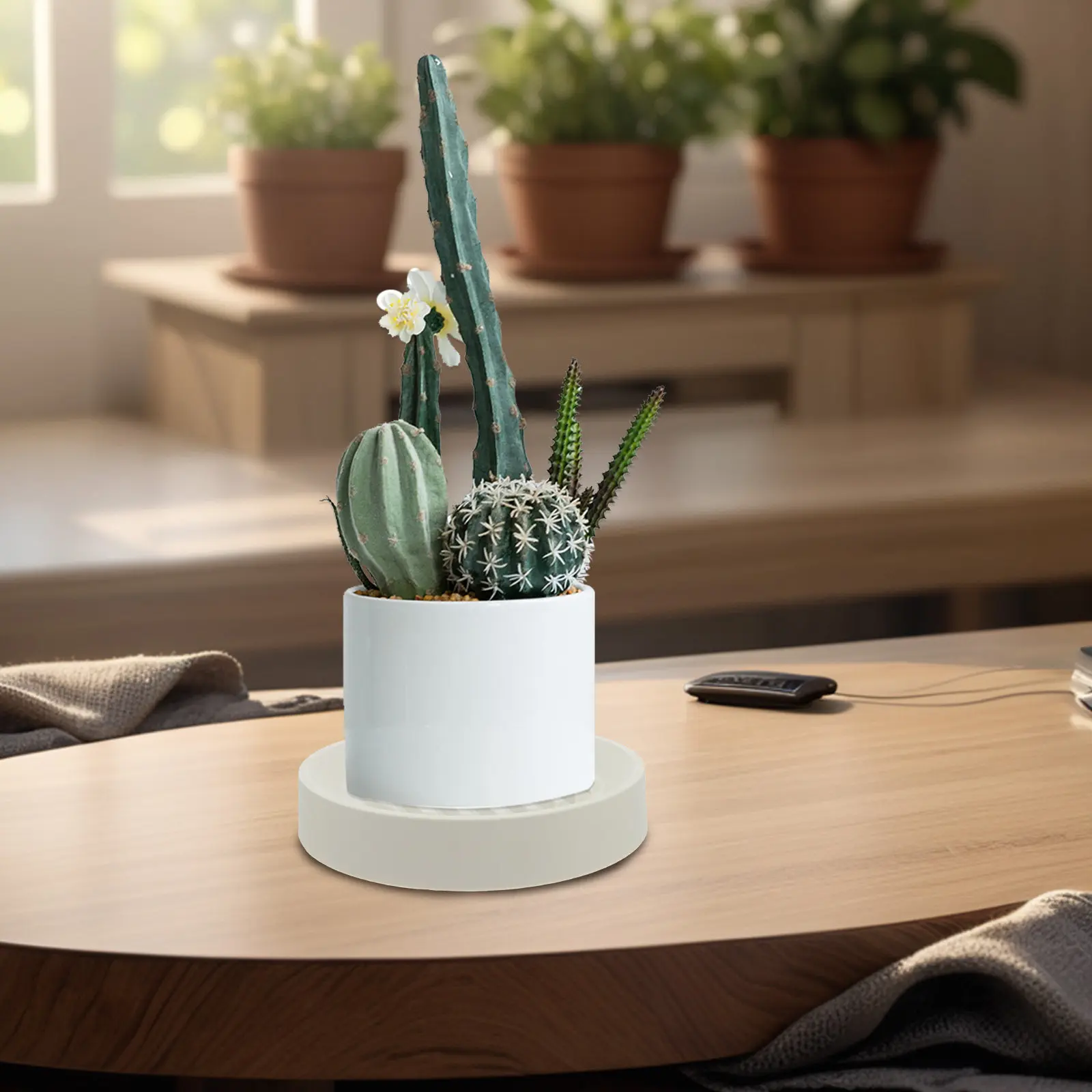 Round Heavy Duty Plant Roller Base Thickened Mobile Plant Pot Saucer Hidden Wheels Water Storage Tray for Indoor Outdoor Plants
