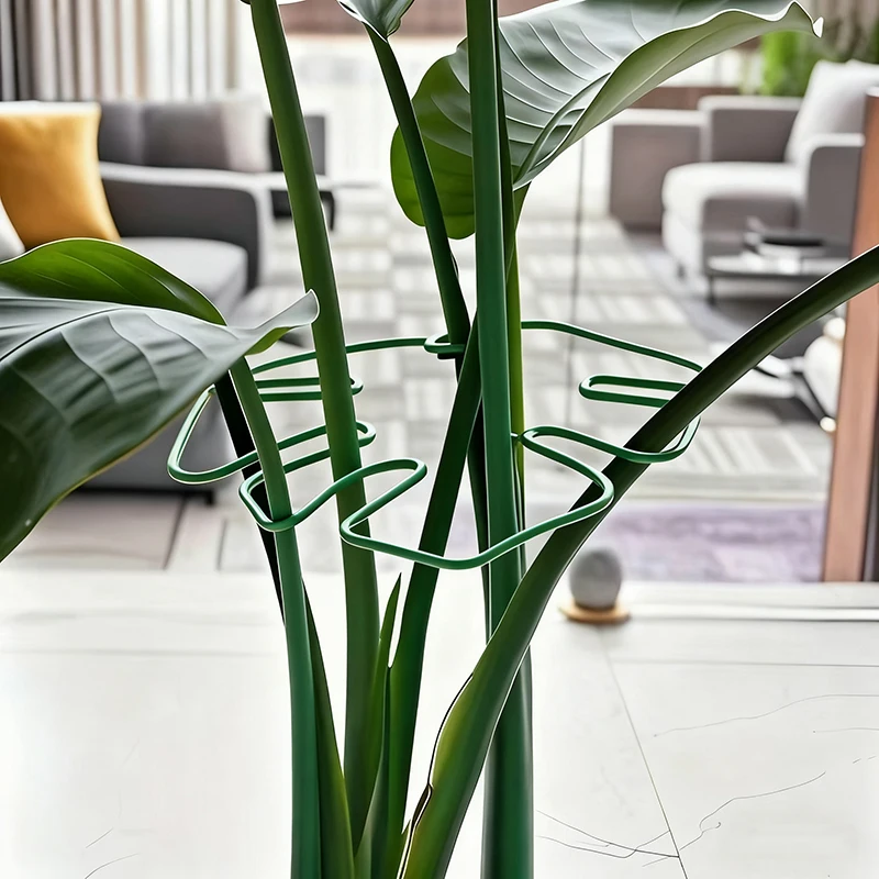 Marco de soporte para plantas Monstera grande, vástagos trepadores resistentes, estabilizador de hojas para uso en exteriores, soporte para plantas colgantes altas, 1 ud.