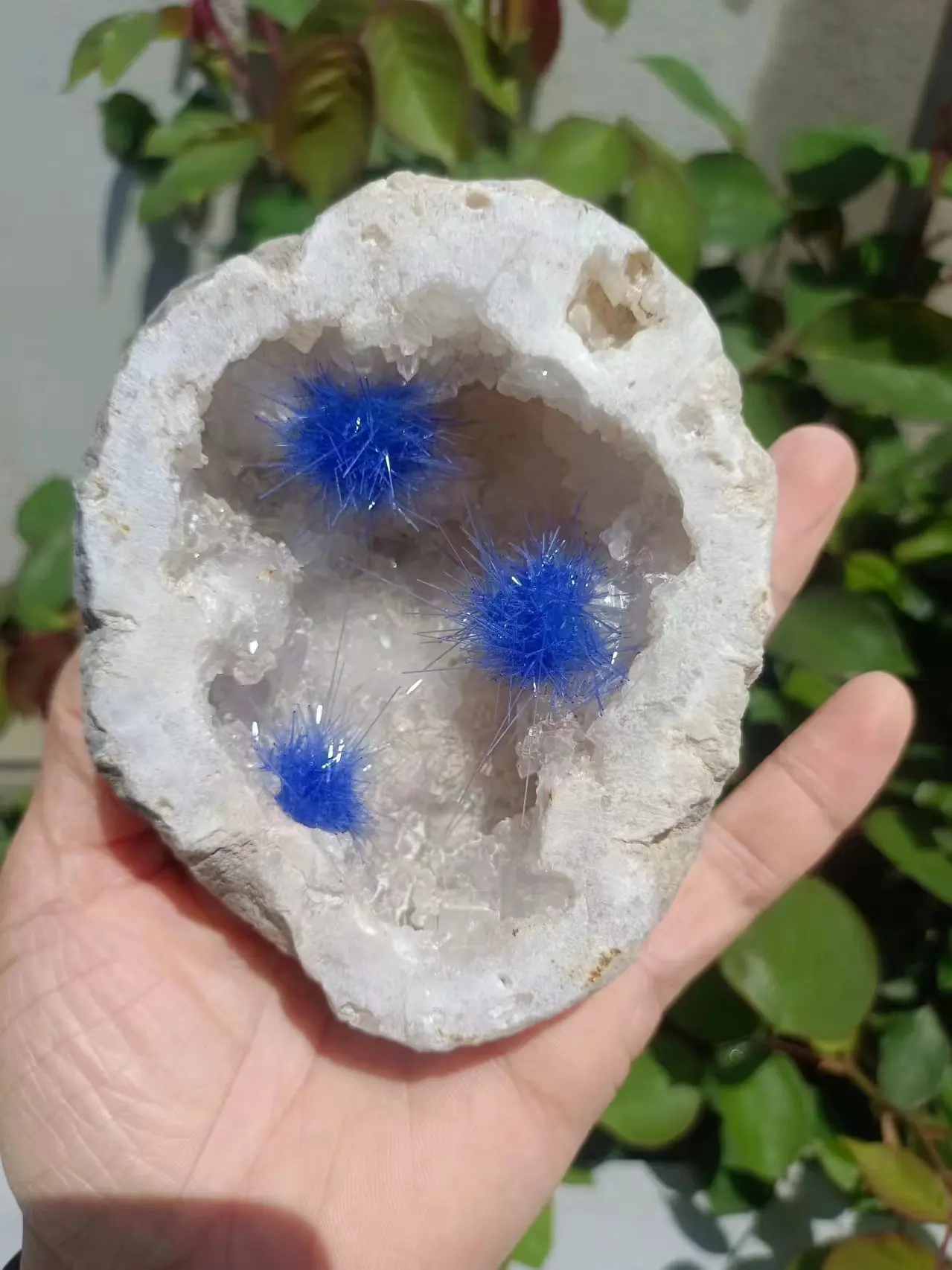 Magical Natural Sphalerite Symbiotic Blue Needle Cluster Quartz Crystal Mineral Needle Cluster,Mineral Reiki Healing Stone