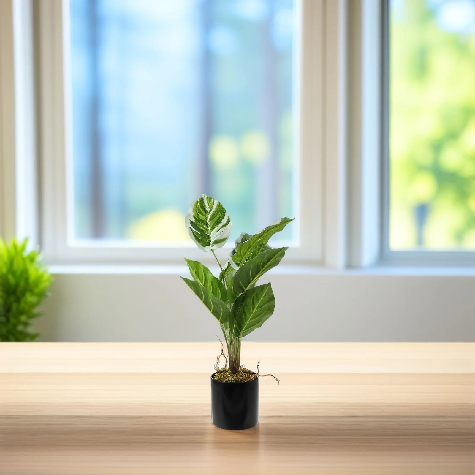 

Artificial Bonsai Decor Arrowroot naments Simulated Plants Indoor Decoration Desk Bookshelf Window Living Room Office Fake Green
